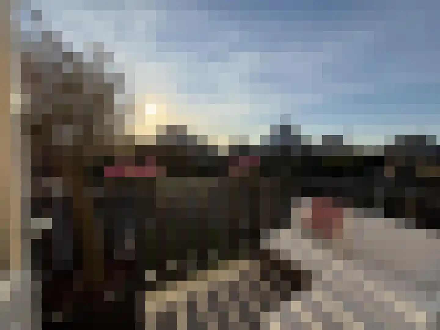 Prof. Willem Schermerhornstraat 18 Grootschermer thumbnail 38