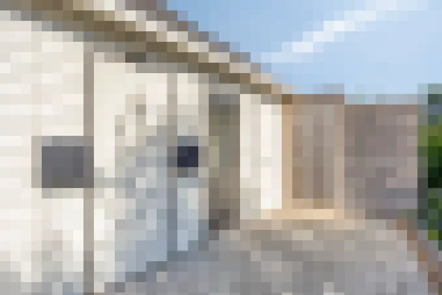 Prof. Willem Schermerhornstraat 18 Grootschermer thumbnail 47