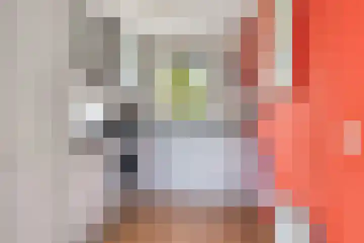 Prof. Willem Schermerhornstraat 29 Grootschermer thumbnail 12