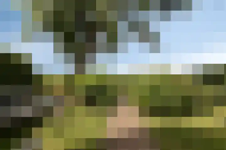 Prof. Willem Schermerhornstraat 29 Grootschermer thumbnail 18