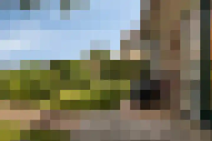 Prof. Willem Schermerhornstraat 29 Grootschermer thumbnail 19