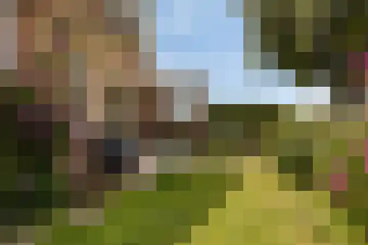 Prof. Willem Schermerhornstraat 29 Grootschermer thumbnail 20