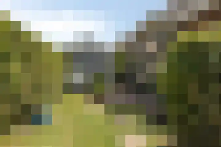 Prof. Willem Schermerhornstraat 29 Grootschermer thumbnail 21