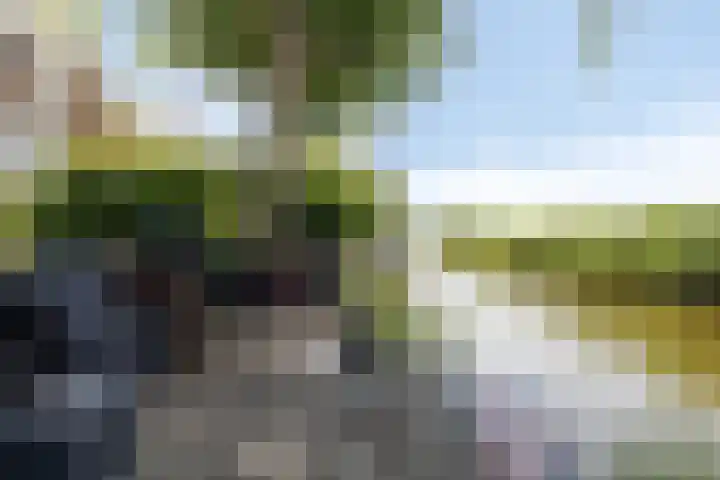 Prof. Willem Schermerhornstraat 29 Grootschermer thumbnail 22