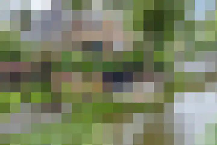 Prof. Willem Schermerhornstraat 29 Grootschermer thumbnail 24