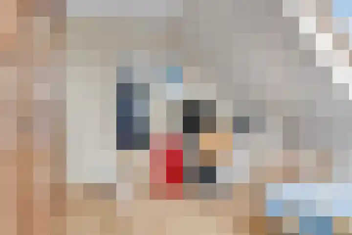 Prof. Willem Schermerhornstraat 29 Grootschermer thumbnail 30