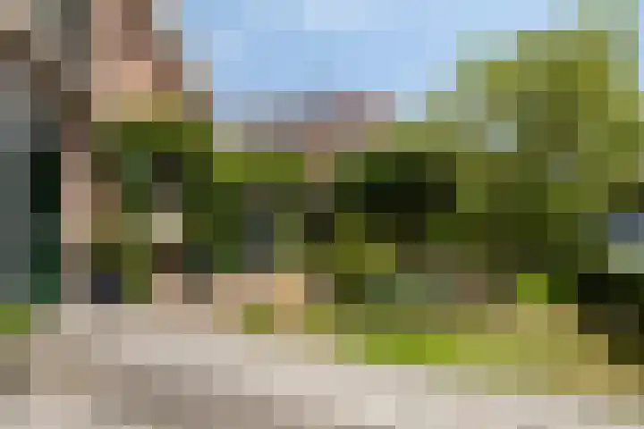 Prof. Willem Schermerhornstraat 29 Grootschermer thumbnail 40