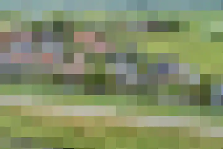 Prof. Willem Schermerhornstraat 29 Grootschermer thumbnail 43