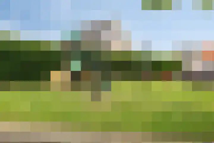 Prof. Willem Schermerhornstraat 29 Grootschermer thumbnail 46