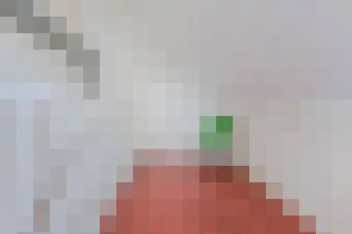 Prof. Willem Schermerhornstraat 7 Grootschermer thumbnail 30