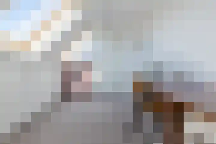 Prof. Willem Schermerhornstraat 7 Grootschermer thumbnail 32