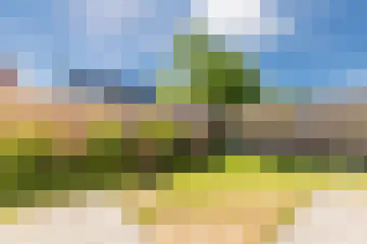 Prof. Willem Schermerhornstraat 7 Grootschermer thumbnail 33