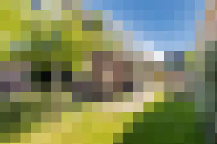 Prof. Willem Schermerhornstraat 7 Grootschermer thumbnail 36