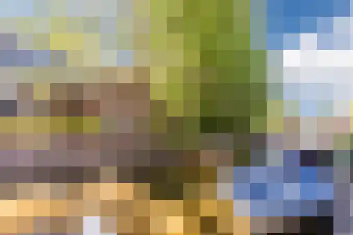 Prof. Willem Schermerhornstraat 7 Grootschermer thumbnail 37