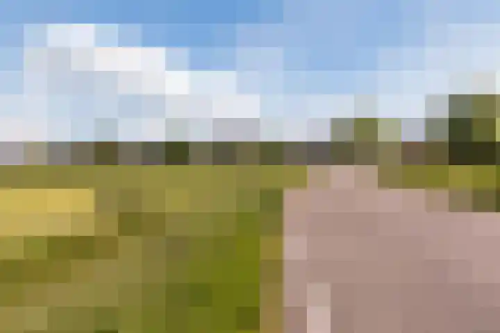 Prof. Willem Schermerhornstraat 7 Grootschermer thumbnail 42