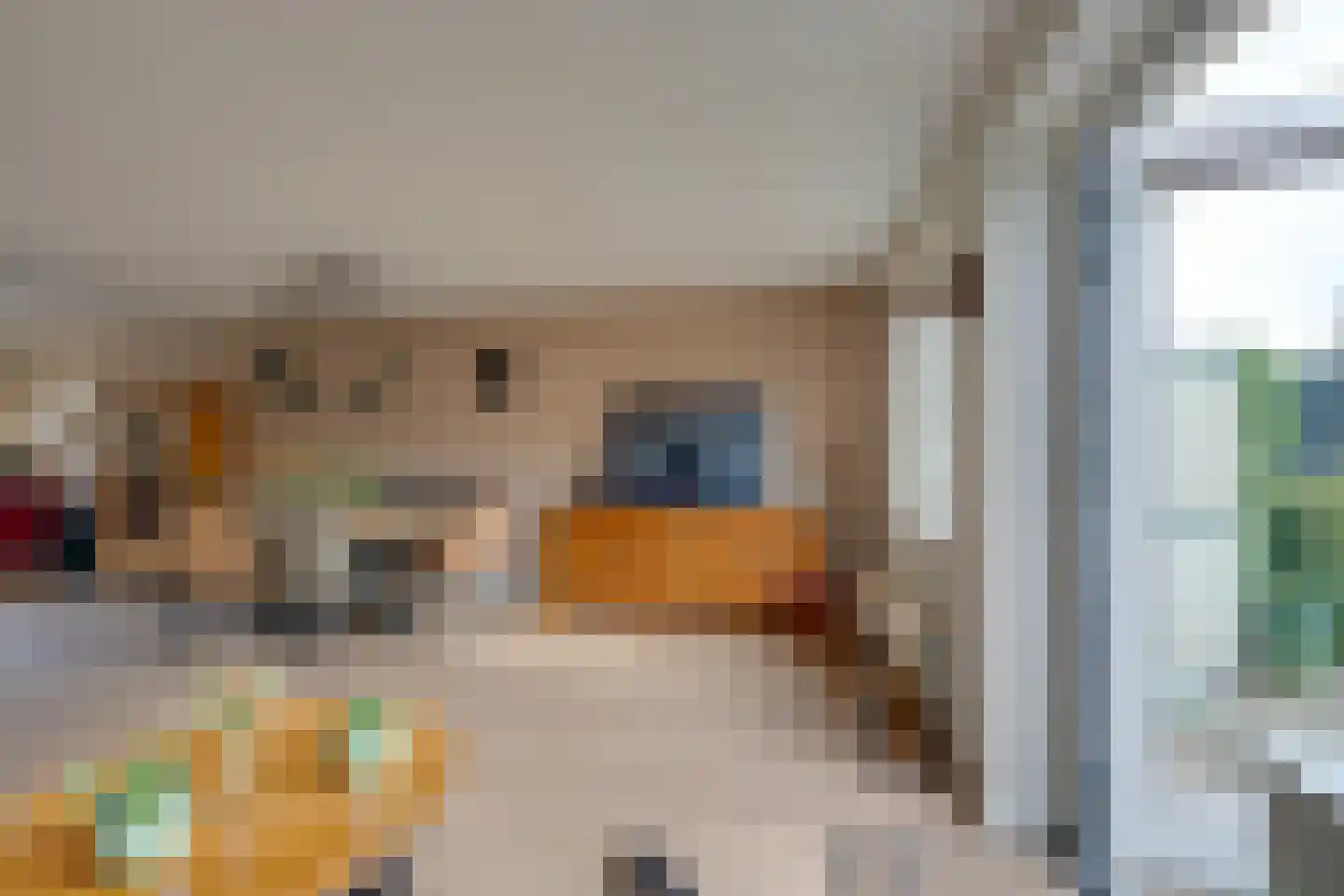 Prof. Willem Schermerhornstraat 8 Grootschermer thumbnail 11