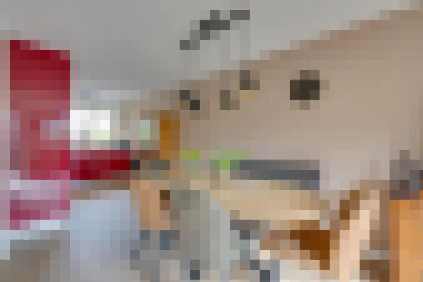 Prof. Willem Schermerhornstraat 8 Grootschermer thumbnail 16
