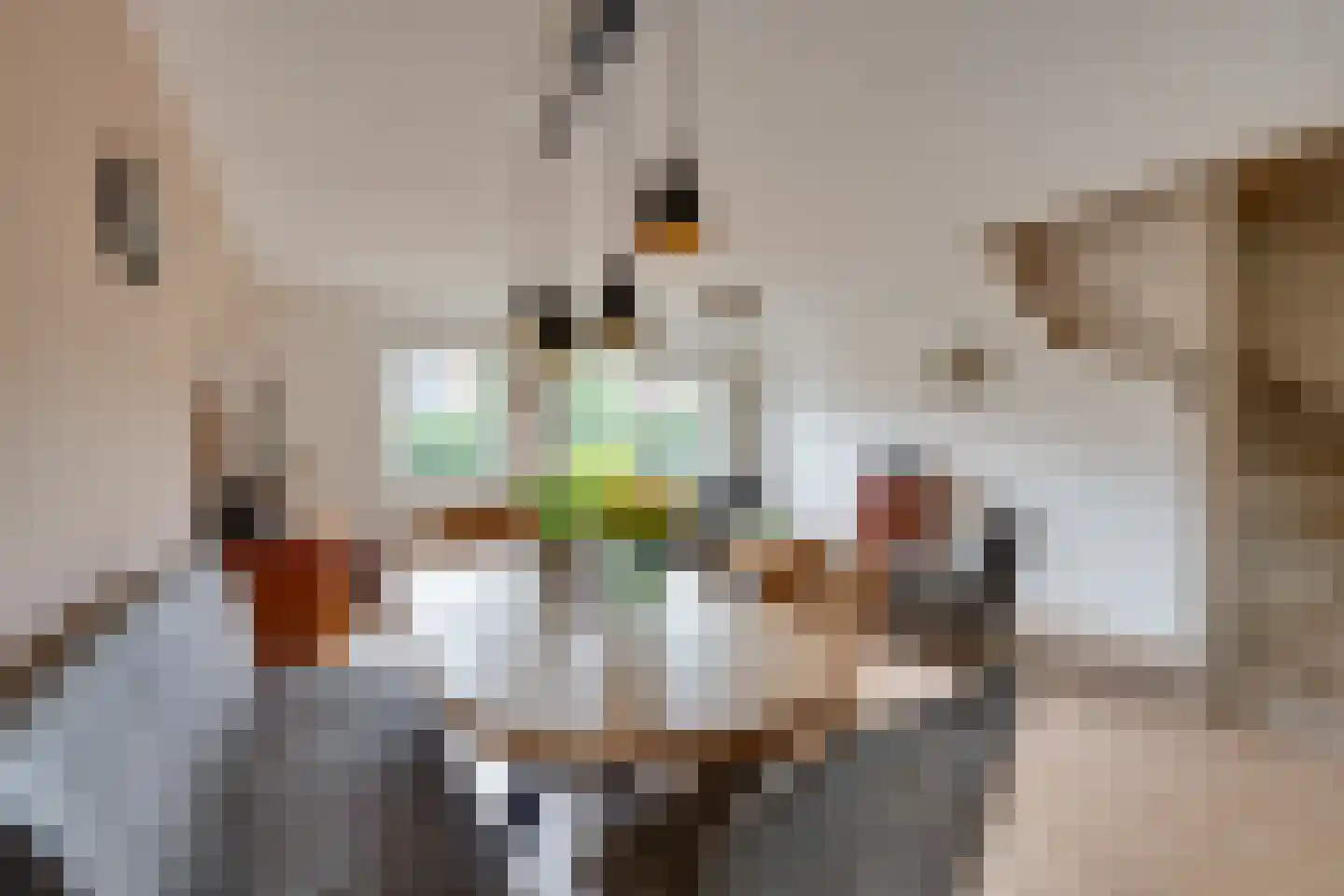 Prof. Willem Schermerhornstraat 8 Grootschermer thumbnail 17