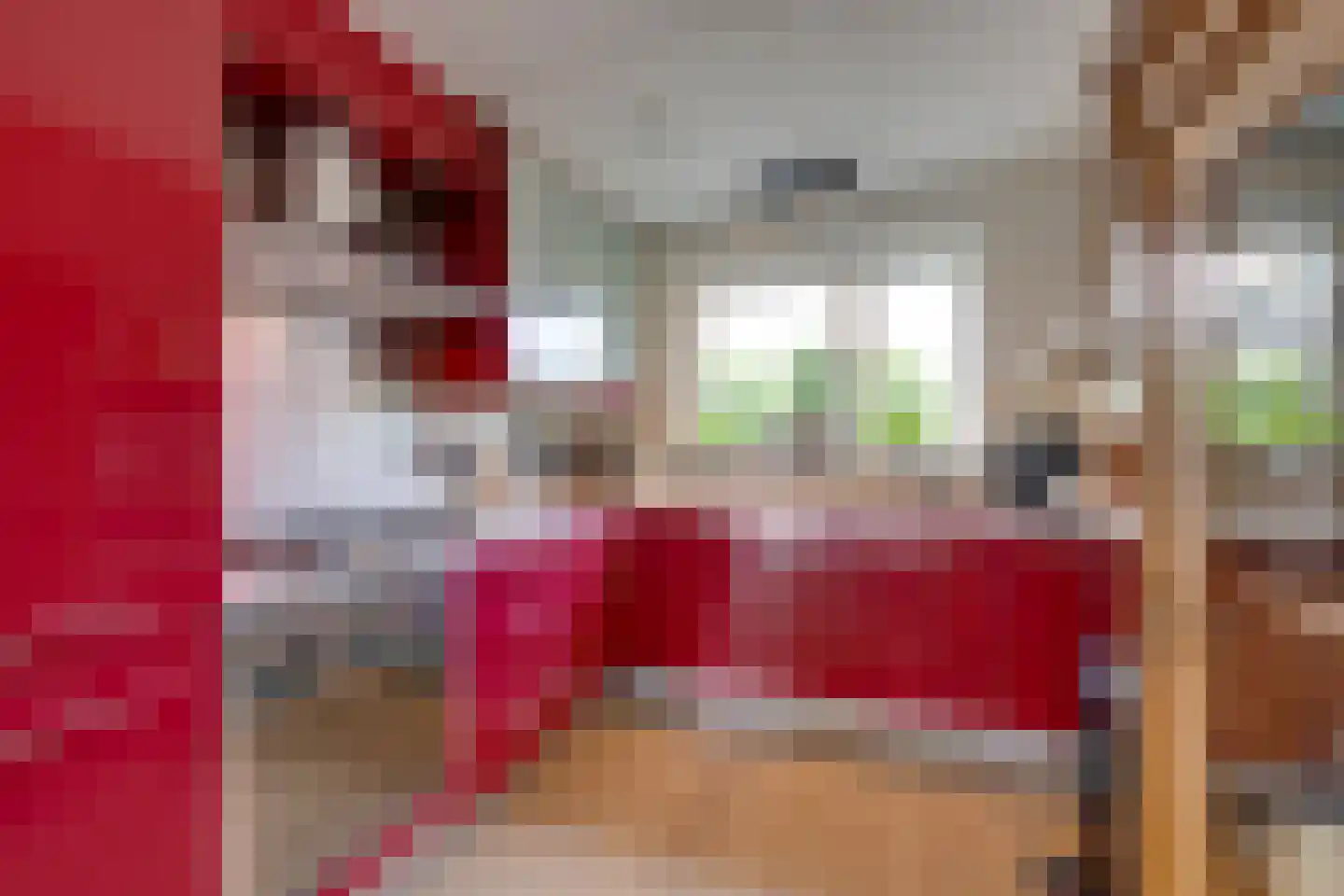 Prof. Willem Schermerhornstraat 8 Grootschermer thumbnail 18
