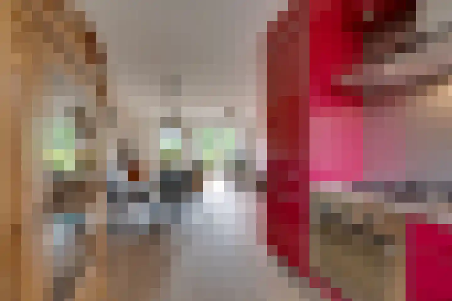 Prof. Willem Schermerhornstraat 8 Grootschermer thumbnail 21