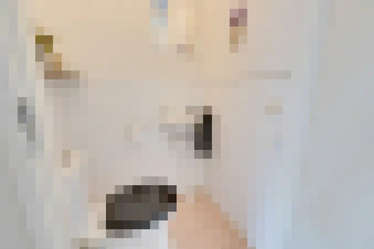 Prof. Willem Schermerhornstraat 8 Grootschermer thumbnail 28