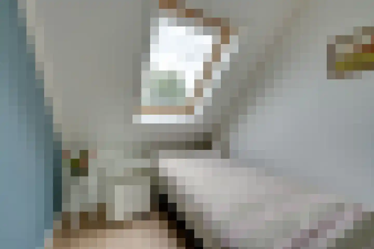 Prof. Willem Schermerhornstraat 8 Grootschermer thumbnail 35