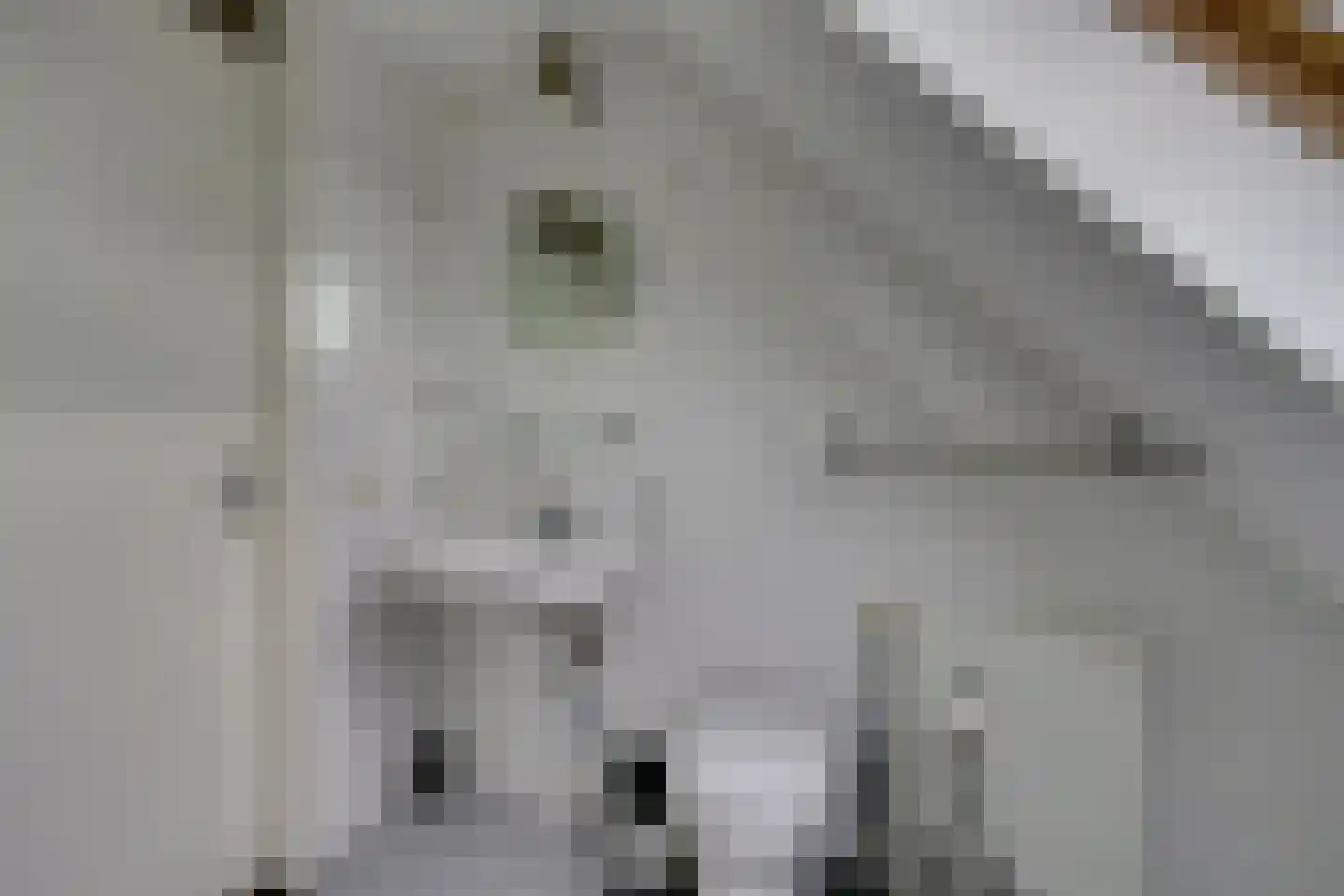 Prof. Willem Schermerhornstraat 8 Grootschermer thumbnail 38