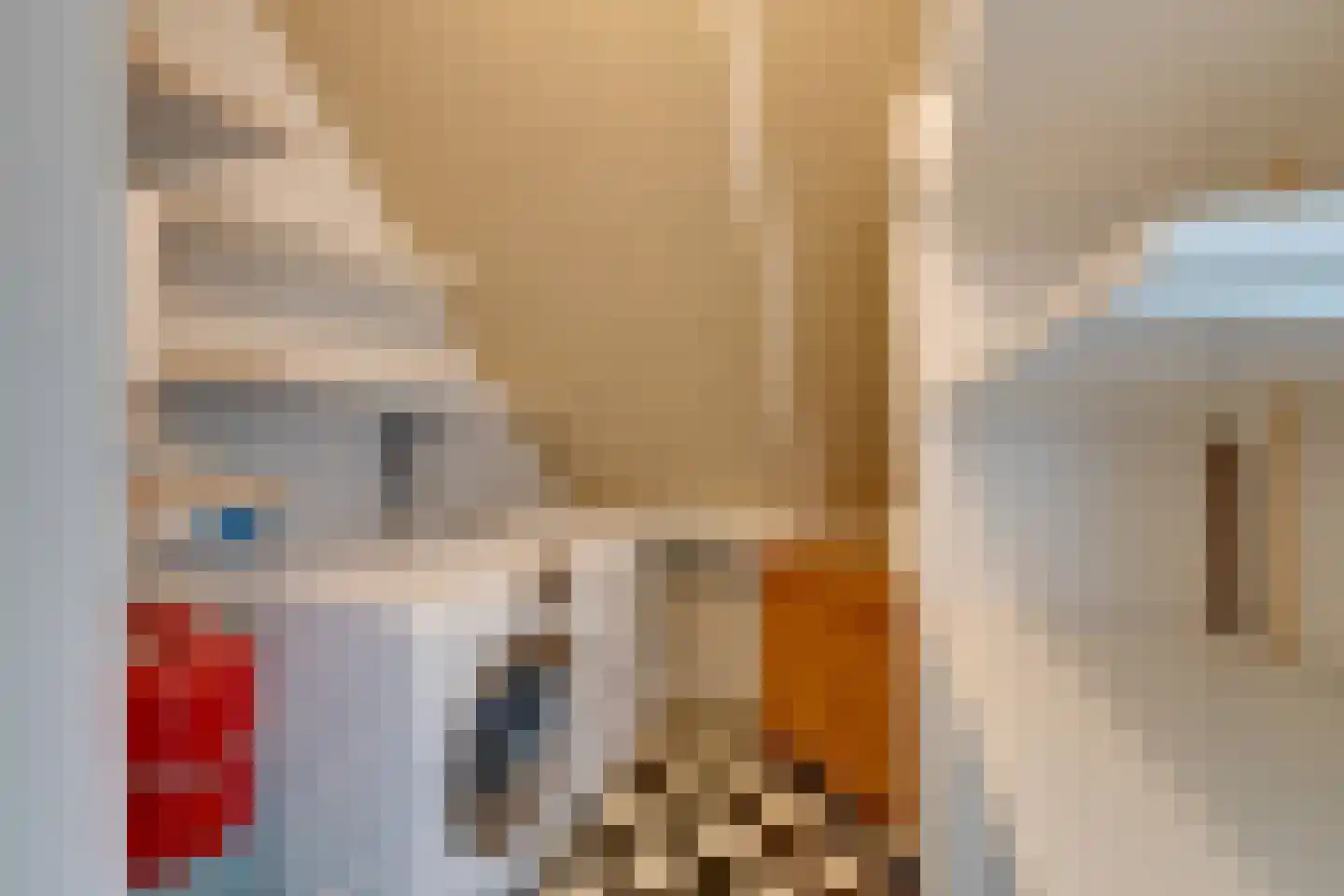 Prof. Willem Schermerhornstraat 8 Grootschermer thumbnail 40