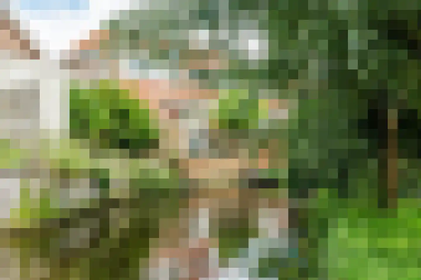Prof. Willem Schermerhornstraat 8 Grootschermer thumbnail 45
