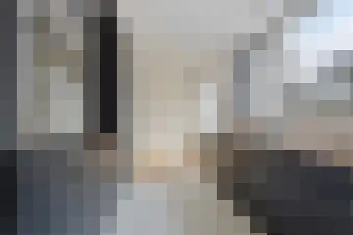 Prof. Winklerlaan 7 Castricum thumbnail 10