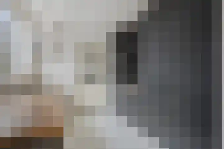Prof. Winklerlaan 7 Castricum thumbnail 11