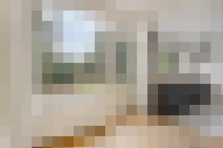 Prof. Winklerlaan 7 Castricum thumbnail 12