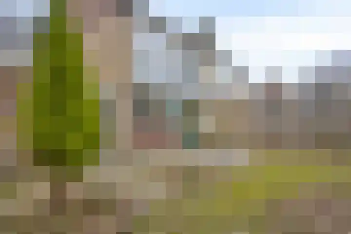 Prof. Winklerlaan 7 Castricum thumbnail 13