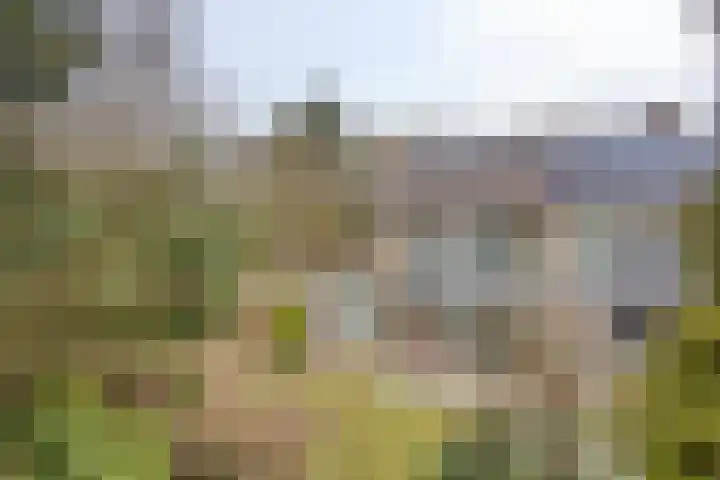 Prof. Winklerlaan 7 Castricum thumbnail 14