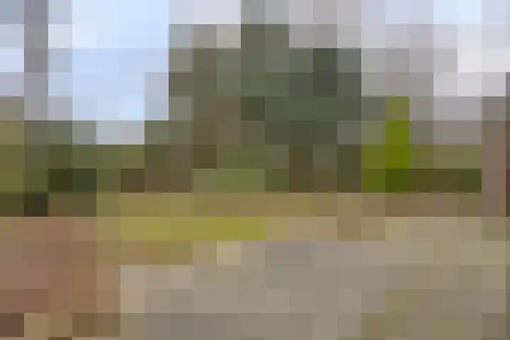 Prof. Winklerlaan 7 Castricum thumbnail 15
