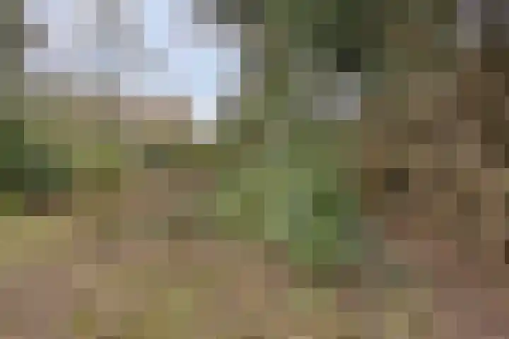 Prof. Winklerlaan 7 Castricum thumbnail 17