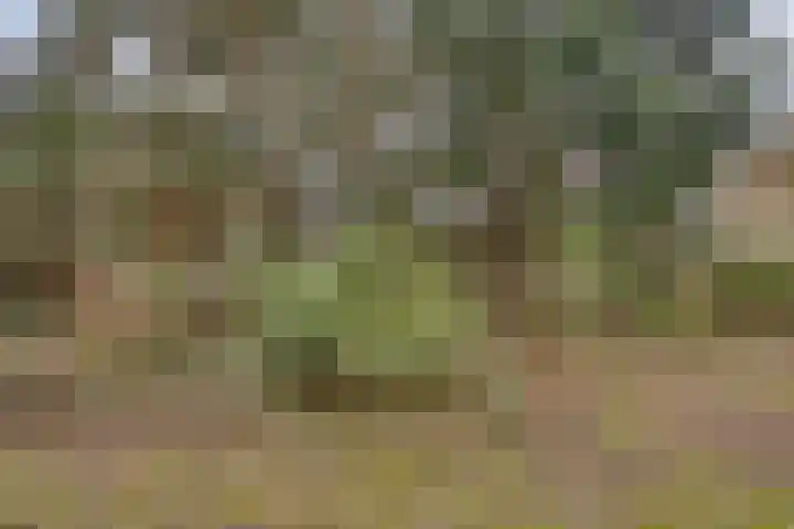 Prof. Winklerlaan 7 Castricum thumbnail 18