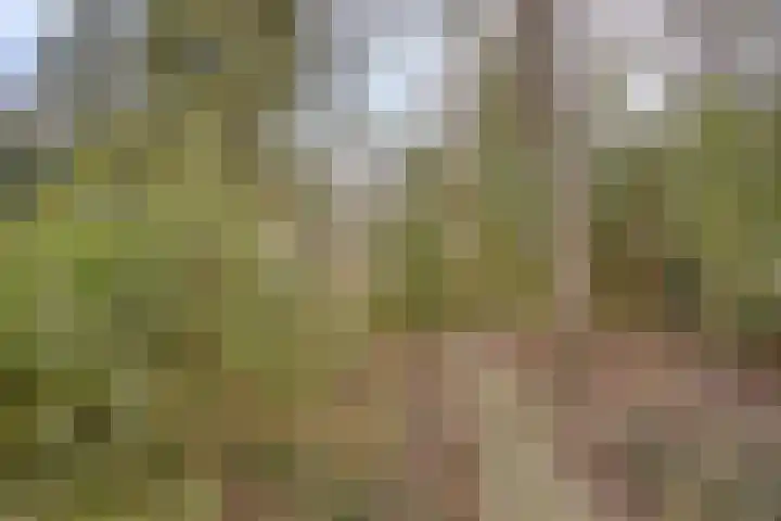 Prof. Winklerlaan 7 Castricum thumbnail 19