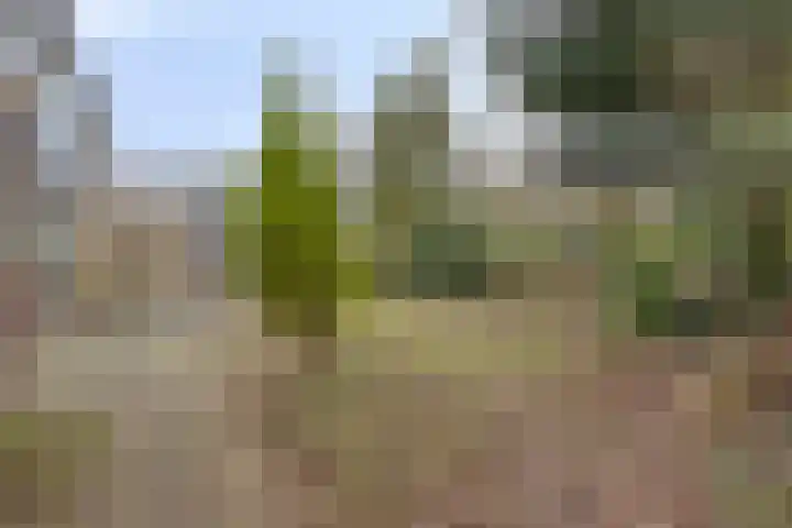 Prof. Winklerlaan 7 Castricum thumbnail 20