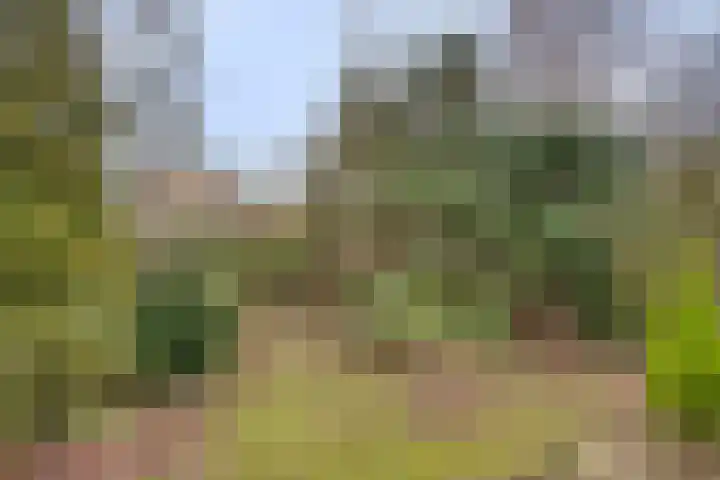 Prof. Winklerlaan 7 Castricum thumbnail 21