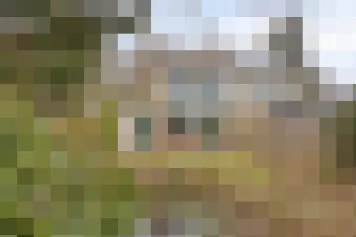 Prof. Winklerlaan 7 Castricum thumbnail 23