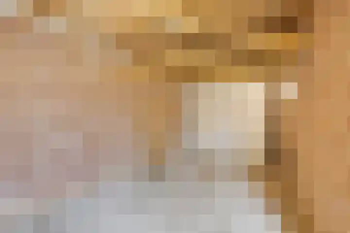 Prof. Winklerlaan 7 Castricum thumbnail 27