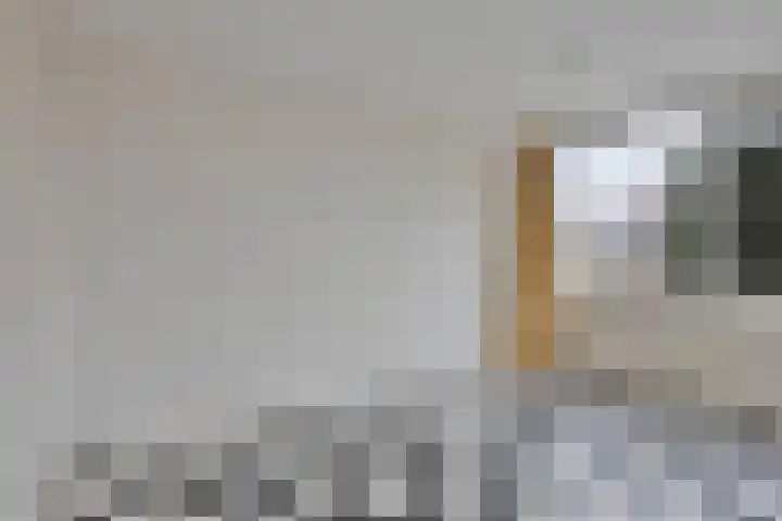 Prof. Winklerlaan 7 Castricum thumbnail 33