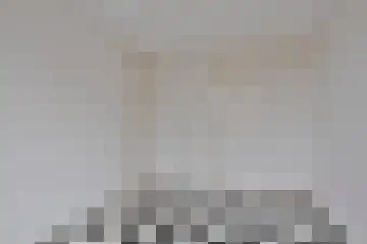 Prof. Winklerlaan 7 Castricum thumbnail 34