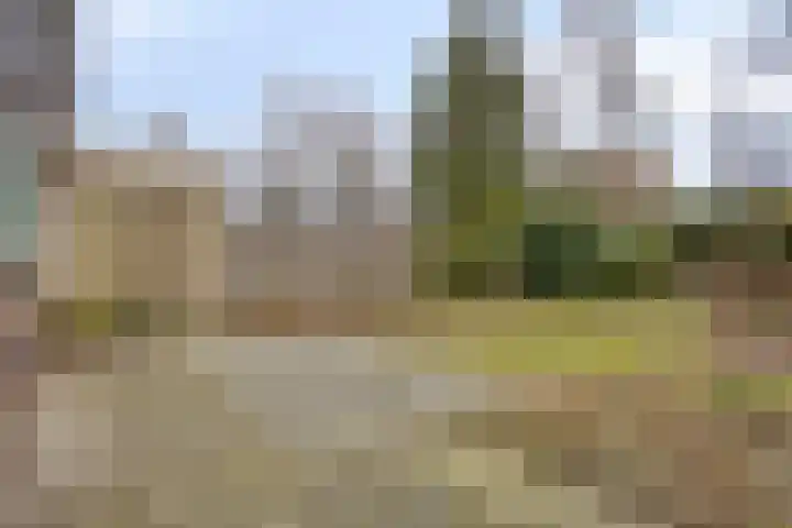Prof. Winklerlaan 7 Castricum thumbnail 4