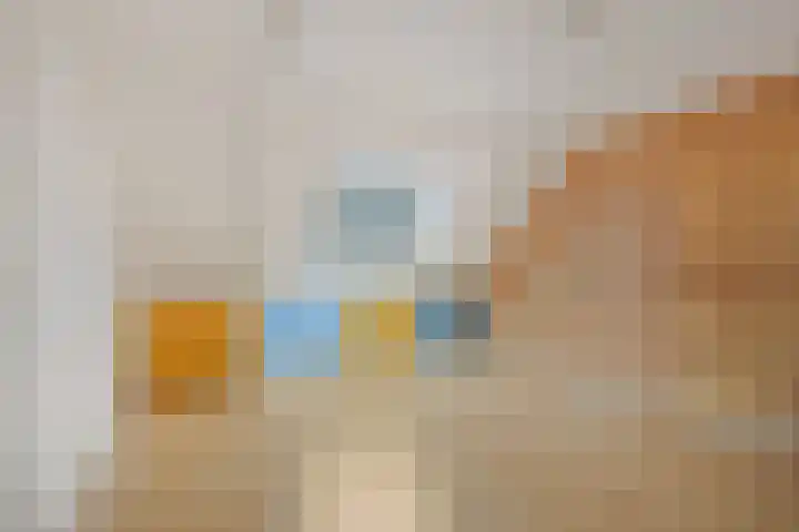 Prof. Winklerlaan 7 Castricum thumbnail 42