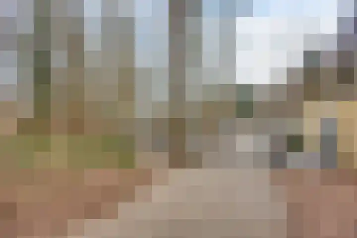 Prof. Winklerlaan 7 Castricum thumbnail 47