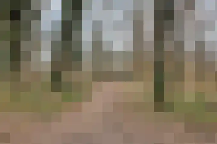 Prof. Winklerlaan 7 Castricum thumbnail 48