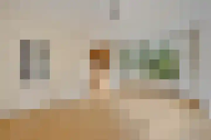 Prof. Winklerlaan 7 Castricum thumbnail 5