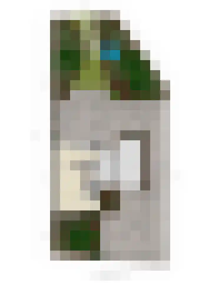 Prof. Winklerlaan 7 Castricum thumbnail 51